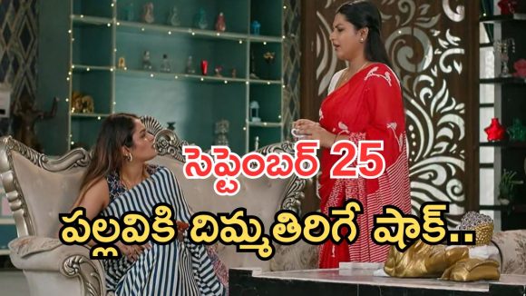 Intinti Ramayanam Today Episode: ఆరాధ్య కోసం అవని టెన్షన్.. పల్లవికి షాక్.. ఇది కదా అసలు ట్విస్ట్..