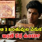 ఎన్నో జంతువులు ఉండగా.. పాత రూ.10 నోటుపై.. ఏనుగు, ఖడ్గమృగం, పులి బొమ్మలే ఎందుకు?