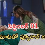Intinti Ramayanam Today Episode: పార్వతికి పల్లవి వార్నింగ్.. కమల్ కు పల్లవి పై అనుమానం.. అవనికి నిజం తెలుస్తుందా..?