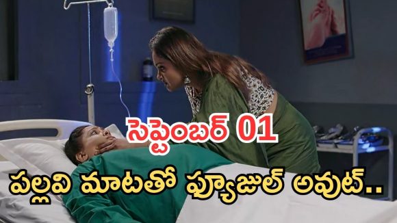 Intinti Ramayanam Today Episode: పార్వతికి పల్లవి వార్నింగ్.. కమల్ కు పల్లవి పై అనుమానం.. అవనికి నిజం తెలుస్తుందా..?