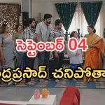 Intinti Ramayanam Today Episode: పల్లవికి టెన్షన్.. ప్రణతి ఎంట్రీతో ఆల్ హ్యాపీ.. ఫైనల్ ట్విస్ట్ అదిరింది..
