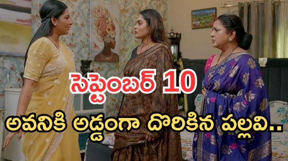 Intinti Ramayanam Today Episode: పార్వతికి నిజం తెలుస్తుందా..? అడ్డంగా దొరికిన పల్లవి.. చివరిలో ట్విస్ట్..