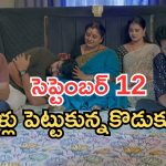 Intinti Ramayanam Today Episode: అయ్యో పాపం పార్వతి.. భానుమతి మాటతో షాక్.. కన్నీళ్లు పెట్టించే సీన్..