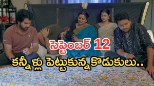 Intinti Ramayanam Today Episode: అయ్యో పాపం పార్వతి.. భానుమతి మాటతో షాక్.. కన్నీళ్లు పెట్టించే సీన్..