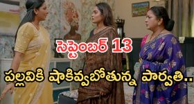 Intinti Ramayanam Today Episode: కన్నీళ్లు పెట్టుకున్న అక్షయ్.. పల్లవి ప్లాన్ ఇదా..? పార్వతికి నిజం చెప్తుందా..?