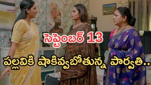 Intinti Ramayanam Today Episode: కన్నీళ్లు పెట్టుకున్న అక్షయ్.. పల్లవి ప్లాన్ ఇదా..? పార్వతికి నిజం చెప్తుందా..?