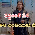 Intinti Ramayanam Today Episode: పార్వతిని చంపేందుకు పల్లవి ప్లాన్.. అయ్యో పార్వతి.. సీన్ రివర్స్..
