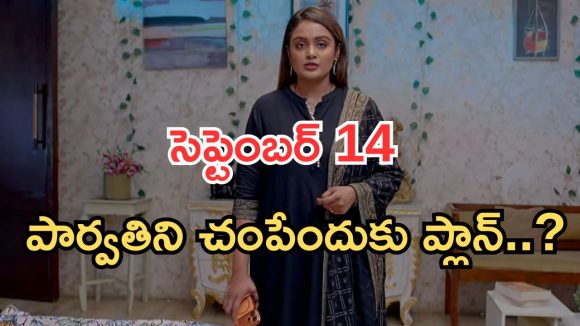 Intinti Ramayanam Today Episode: పార్వతిని చంపేందుకు పల్లవి ప్లాన్.. అయ్యో పార్వతి.. సీన్ రివర్స్..