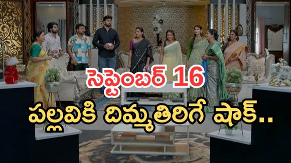 Intinti Ramayanam Today Episode: పార్వతికి నిజం తెలుస్తుందా..? అవని ప్లాన్ సక్సెస్.. ఇదేం ట్విస్ట్ రా నాయనా..