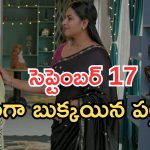 Intinti Ramayanam Today Episode: అడ్డంగా దొరికిపోయిన పల్లవి.. కన్నీళ్లు పెట్టించే సీన్.. పల్లవి ప్లాన్ సక్సెస్..