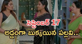 తెలంగాణ రైతులకు గుడ్ న్యూస్.. ఎకరానికి రూ.46,250 సబ్సిడీ..!