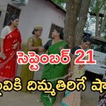 Intinti Ramayanam Today Episode: బాబు కిడ్నాప్.. పల్లవికి దిమ్మతిరిగే షాక్.. అవని ప్లాన్ సూపర్..