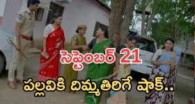 Telugu Serials : ఈ వారం టాక్ ఆఫ్ ది సీరియల్ ఇదే.. అస్సలు ఊహించలేదు..