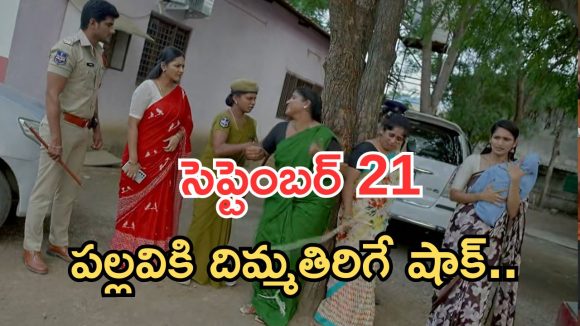 Intinti Ramayanam Today Episode: బాబు కిడ్నాప్.. పల్లవికి దిమ్మతిరిగే షాక్.. అవని ప్లాన్ సూపర్..