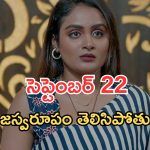 Intinti Ramayanam Today Episode: పల్లవికి అడ్డంగా ఇరుక్కుంది..? అవనికి టెన్షన్.. చివరిలో ట్విస్ట్..