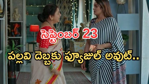 Intinti Ramayanam Today Episode: పల్లవికి కొత్త టెన్షన్.. పార్వతికి నిజం తెలుస్తుందా..? పల్లవి దొరికిపోతుందా..?
