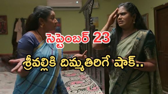 Illu Illalu Pillalu Today Episodes: ప్రేమ మాటతో షాక్.. శ్రీవల్లికి మరో దెబ్బ.. సుకన్య ప్లాన్ సక్సెస్..