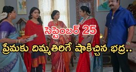 పాకిస్తాన్ కోచ్‌గా అదిరిపోయే అమ్మాయి…ఇక ప్లేయర్లకు జాతరే