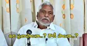 ఇంట్లోనే క్రిస్పీ చికెన్ సమోసా ఎలా తయారు చేయాలి? సింపుల్ రెసిపీ ఇదిగో