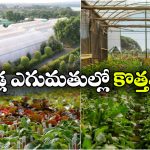రూ. లక్ష కోట్లతో ప్రపంచ స్థాయి ఉద్యానవన కేంద్రం.. మదనపల్లెకు మహర్దశ!