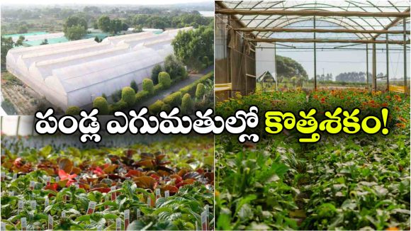 రూ. లక్ష కోట్లతో ప్రపంచ స్థాయి ఉద్యానవన కేంద్రం.. మదనపల్లెకు మహర్దశ!