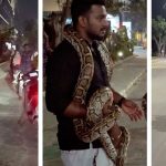 భారీ కొండచిలువతో ప్రజలు బెంబేలు.. హైదరాబాద్ ఐటీ కారిడార్‌లో, వీడియో వైరల్