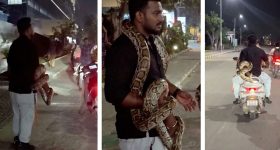 మీ చేతులకు రెస్ట్ ఇచ్చి, గిన్నెలను కొత్తగా మెరిపించే డిష్‌వాషర్లు!
