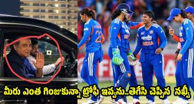 నెల్లూరులో చెత్త నిధులపై మాటల యుద్ధం.. సవాల్ విసిరిన వైసీపీ.. తిప్పికొట్టిన కూటమి!