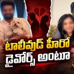 టాలీవుడ్ హీరో భార్యతో మనస్పర్థలంట.. విడాకులపై బయటకొచ్చిన క్లారిటీ