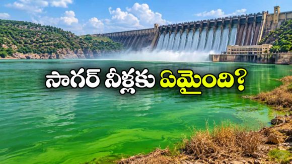 నాగార్జునసాగర్ లో రంగు మారుతున్న నీళ్లు, అసలేం జరుగుతోంది?
