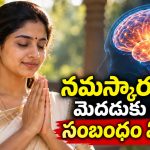 నమస్కారం చేసేటప్పుడు రెండు చేతుల వేళ్లు కలిస్తే మెదడులో ఏం జరుగుతుంది?