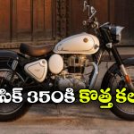 రాయల్ ఎన్‌ఫీల్డ్ క్లాసిక్ 350కి కొత్త కలర్.. సిగ్నేచర్ వైట్ అదిరిపోయిందిగా!