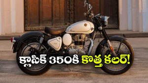 రాయల్ ఎన్‌ఫీల్డ్ క్లాసిక్ 350కి కొత్త కలర్.. సిగ్నేచర్ వైట్ అదిరిపోయిందిగా!