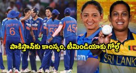 ఎప్పుడూ అదే గ్రీన్ స్క్రీన్‌తో బోర్ అనిపిస్తుందా? వాట్సప్‌లో రాబోతున్న ఈ కొత్త థీమ్స్ చూశారా?