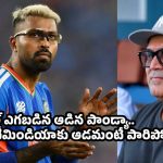 టీమిండియాకు నువ్వు పనికిరావు..వెళ్లి ఐపీఎల్ ఆడుకోరా !