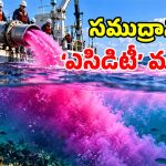 సముద్రంలోకి 16 వేల గ్యాలన్ల పింక్ ద్రవం.. తర్వాత జరిగింది చూసి.. యావత్ ప్రపంచమే షాక్!
