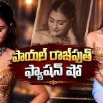 పాయల్ రాజ్‌పుత్ గ్లామర్ డోస్.. ఒక్క ఫొటోతో సోషల్ మీడియా షేక్!