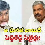 ఇంత దారుణమైన పాలన.. ఎప్పుడూ చూడలేదు.. చంద్రబాబుపై విరుచుకుపడ్డ పెద్దిరెడ్డి!