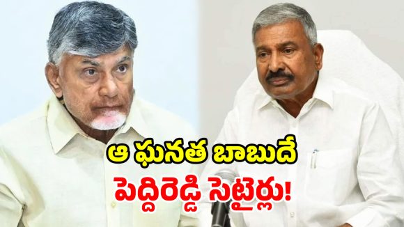 ఇంత దారుణమైన పాలన.. ఎప్పుడూ చూడలేదు.. చంద్రబాబుపై విరుచుకుపడ్డ పెద్దిరెడ్డి!