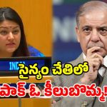 లాడెన్ ఎక్కడ దొరికాడో మర్చిపోయావా? ఐరాసలో పాక్ ప్రధానికి ఇచ్చిపడేసిన భారత్!