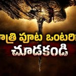 అమాయకపు బొమ్మ రక్తాన్ని తాగే రాక్షసిగా మారితే… తెలుగులోనే ఈ హడలెత్తించే డార్క్ డెమోనిక్ హర్రర్ ఫిల్మ్