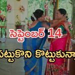 Podarillu Today Episode : చక్రీ ప్లాన్ రివర్స్.. తాయారును రెచ్చగొట్టిన నారాయణ..పంతులు ప్లాన్ సక్సెస్..