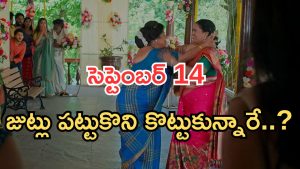 Podarillu Today Episode : చక్రీ ప్లాన్ రివర్స్.. తాయారును రెచ్చగొట్టిన నారాయణ..పంతులు ప్లాన్ సక్సెస్..