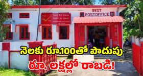 ఇయర్‌బడ్స్ Vs వైర్డ్ ఇయర్‌ఫోన్స్..ఏది బెస్ట్? ఏది చెవులకు డేంజర్?
