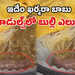 అమ్మబాబోయ్.. నూడుల్స్‌లో బతికున్న ఎలుక పిల్ల.. రెస్టారెంట్‌పై కేసు నమోదు!