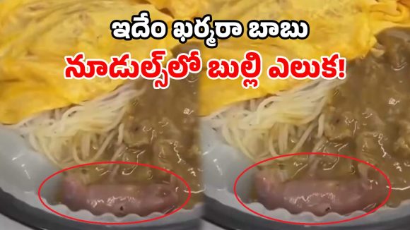 అమ్మబాబోయ్.. నూడుల్స్‌లో బతికున్న ఎలుక పిల్ల.. రెస్టారెంట్‌పై కేసు నమోదు!