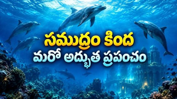 సముద్రం కింద మరో అద్భుత ప్రపంచం… ఎడారిలోనూ వేలాది జీవుల వింత జీవితం… కళ్లకు విందు చేసే నేచర్ డాక్యుమెంటరీ
