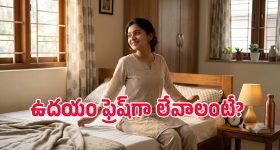ఉదయం ఫ్రెష్‌గా లేవాలంటే రాత్రి ఎప్పుడు పడుకోవాలి? నిపుణులు ఏం చెబుతున్నారు?
