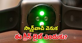స్మార్ట్‌వాచ్ వెనుక ఆకుపచ్చ లైట్ ఎందుకు వెలుగుతుందో తెలుసా? అసలు కారణం ఇదే!