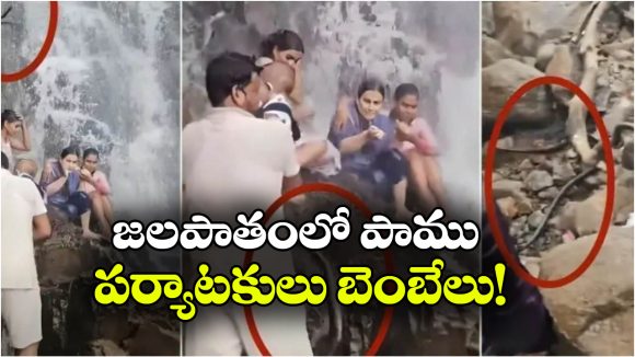 జలపాతంలో ఒళ్లు జలదరించే ఘటన.. పై నుంచి పాము పడటంతో..